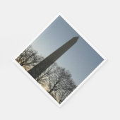 Washington Monument in Winter II Landschap Servetten (Hoek)