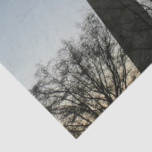 Washington Monument in Winter II Landschap Tissuepapier (Detail)