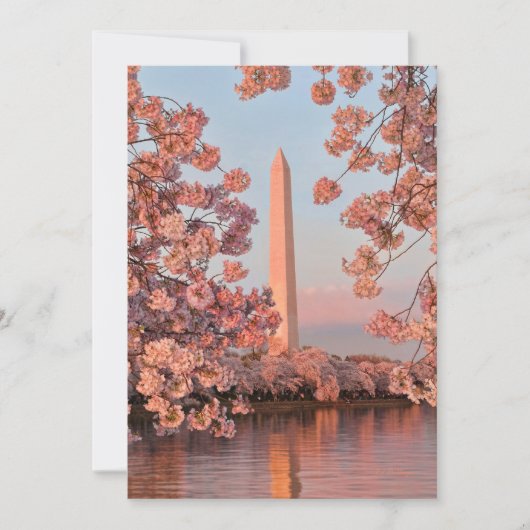 Washington Monument met Kersenbloesem Kaart (Voorkant)