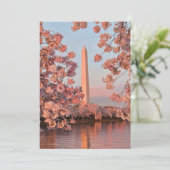 Washington Monument met Kersenbloesem Kaart (Staand voorkant)