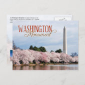 Washington Monument met kersenbloesems Briefkaart (Voorkant / Achterkant)