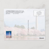 Washington Monument met kersenbloesems Briefkaart (Achterkant)