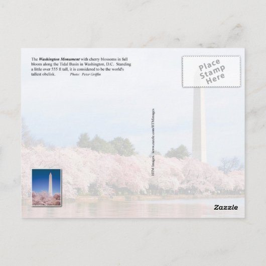 Washington Monument met kersenbloesems Briefkaart (Achterkant)