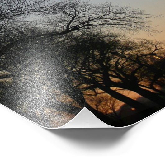 Washington Monument op Sunset Foto Afdruk (Hoek)