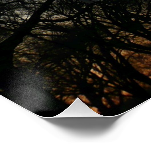 Washington Monument op Sunset Perfect Poster (Hoek)