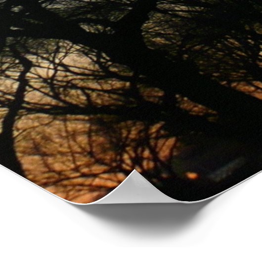 Washington Monument op Sunset Poster (Hoek)