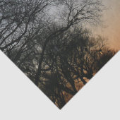 Washington Monument op Sunset Tissuepapier (Detail)