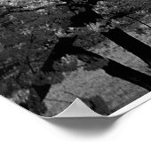 Washington Monument Poster (Hoek)