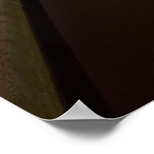 Washington Monument Print (Hoek)