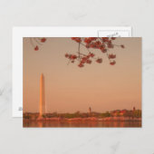 Washington Monument Sakura bij zonsondergang. Briefkaart (Voorkant / Achterkant)
