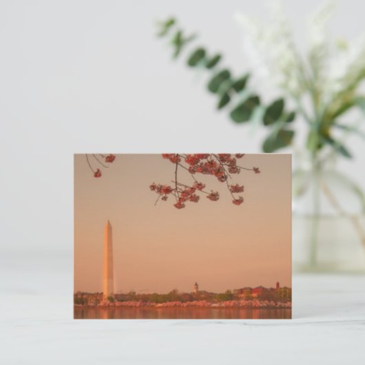 Washington Monument Sakura bij zonsondergang. Briefkaart (Staand voorkant)