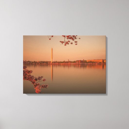 Washington Monument Sakura bij zonsondergang. Canvas Afdruk (Voorkant)