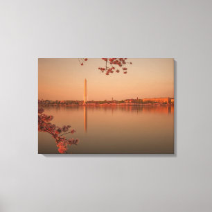 Washington Monument Sakura bij zonsondergang. Canvas Afdruk