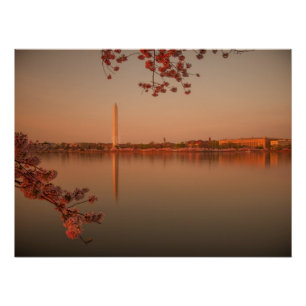Washington Monument Sakura bij zonsondergang. Perfect Poster