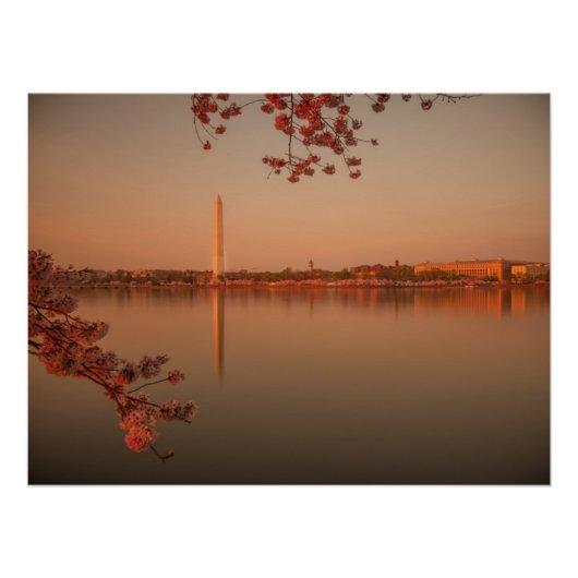 Washington Monument Sakura bij zonsondergang. Perfect Poster (Voorkant)