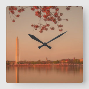 Washington Monument Sakura bij zonsondergang. Vierkante Klok