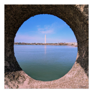 Washington Monument tijdens kersenbloesems 22 Perfect Poster