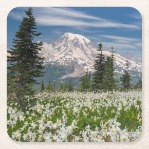 Washington, Mount Rainier Nationaal Park 1 Kartonnen Onderzetters