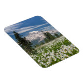 Washington, Mount Rainier Nationaal Park 1 Magneet (Rechterzijde)