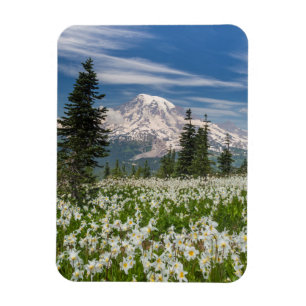 Washington, Mount Rainier Nationaal Park 1 Magneet