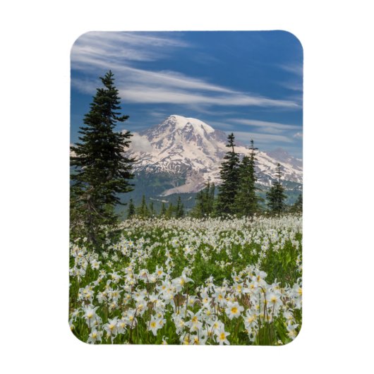 Washington, Mount Rainier Nationaal Park 1 Magneet (Verticaal)