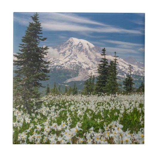 Washington, Mount Rainier Nationaal Park 1 Tegeltje (Voorkant)