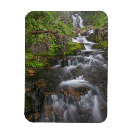 Washington, Mount Rainier Nationaal Park 2 Magneet (Verticaal)