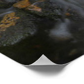 Washington, Mount Rainier Nationaal Park 2 Poster (Hoek)