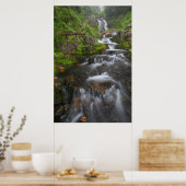 Washington, Mount Rainier Nationaal Park 2 Poster (Keuken)