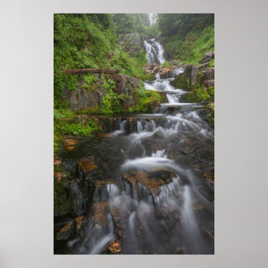 Washington, Mount Rainier Nationaal Park 2 Poster (Voorkant)