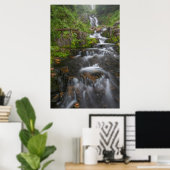 Washington, Mount Rainier Nationaal Park 2 Poster (Thuiskantoor)