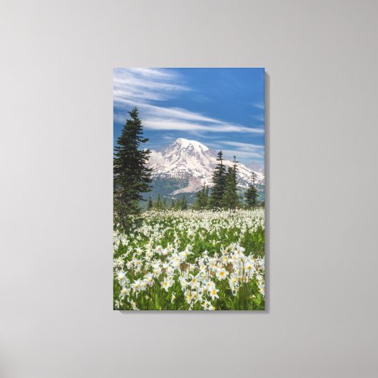 Washington, Mount Rainier National Park 1 Canvas Afdruk (Voorkant)
