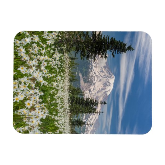 Washington, Mount Rainier National Park 1 Magneet (Horizontaal)