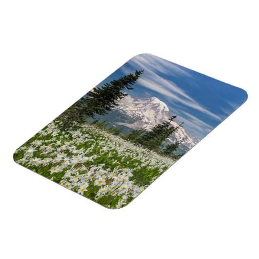 Washington, Mount Rainier National Park 1 Magneet (Linkerzijde)