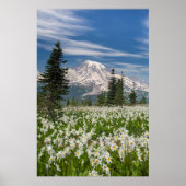 Washington, Mount Rainier National Park 1 Poster (Voorkant)