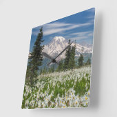 Washington, Mount Rainier National Park 1 Vierkante Klok (Hoek)