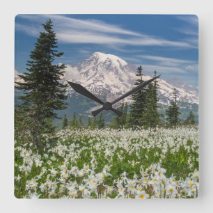 Washington, Mount Rainier National Park 1 Vierkante Klok