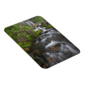 Washington, Mount Rainier National Park 2 Magneet (Rechterzijde)