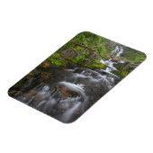 Washington, Mount Rainier National Park 2 Magneet (Linkerzijde)