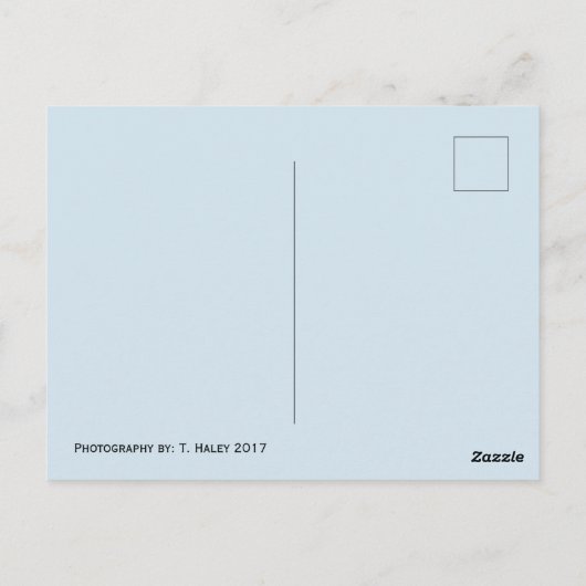 Washington Mountain Hills Briefkaart (Achterkant)