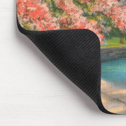 Washington Muismat (Hoek)