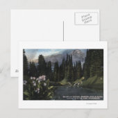 Washington - Nationaal Park Rainier, Shooting Sta Briefkaart (Voorkant / Achterkant)