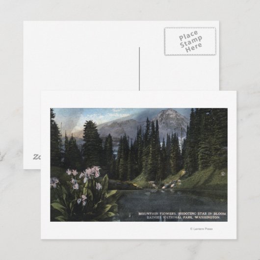 Washington - Nationaal Park Rainier, Shooting Sta Briefkaart (Voorkant / Achterkant)