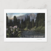 Washington - Nationaal Park Rainier, Shooting Sta Briefkaart (Voorkant)