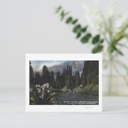 Washington - Nationaal Park Rainier, Shooting Sta Briefkaart (Staand voorkant)