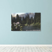 Washington - Nationaal Park Rainier, Shooting Sta Canvas Afdruk (Insitu (Houten vloer))