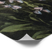 Washington - Nationaal Park Rainier, Shooting Sta Poster (Hoek)