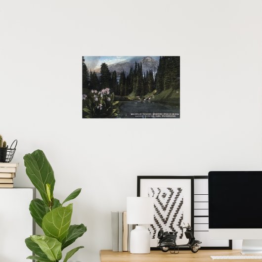 Washington - Nationaal Park Rainier, Shooting Sta Poster (Thuiskantoor)