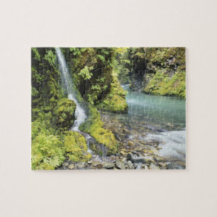 Washington, Nationaal Park van de Olympische Spele Legpuzzel