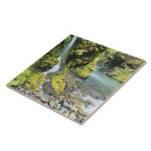 Washington, Nationaal Park van de Olympische Spele Tegeltje (Zijkant)